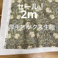セール！2m moda厚手オックス生地ウィリアム　るりはこべ　茶地