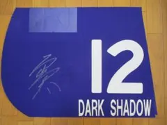 2026年最新】2013安田記念の人気アイテム - メルカリ