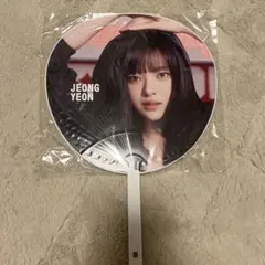 JEONG YEON 丸型うちわ
