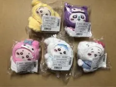 タグ付き　圧縮なし　ちいかわ サンリオ コンプリート マスコット　コンプ 5種