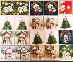 パネル生地 マルチーズ クリスマス 綿生地 犬