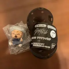 スキズ　サウナ　ガチャ　PuppyM