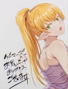 p205-maus様 リクエスト 2点 まとめ商品
