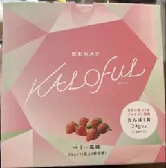 新品未開封】保坂流HOSAKARYU フラクトオリゴ糖 3本セット - メルカリ