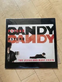 The Jesus And Mary Chain Darklands 初期盤LP - メルカリ