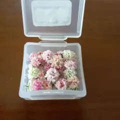 ++kumako++様 リクエスト 2点 まとめ商品