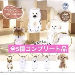 わんこのタイムカプセル　全5種コンプリート品