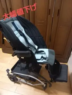 ピグレオ2 Mサイズ　日進医療器　子供用軽量折りたたみバギー ピグレオ2 Mサイズ 日進医療器 子供用軽量折りたたみバギー 【公式通販】