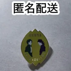 不死川玄弥 不死川実弥 コレクションピンズ 隊士百景 鬼滅の刃