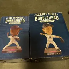 Item thumbnail for item f8c2139f-fcb2-4f3e-a0da-f73bbd6869ac