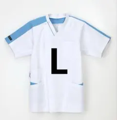 Item thumbnail for item 03f74e89-ffa9-4b0e-85cc-c204820b2d97