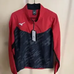 Item thumbnail for item b634bb82-5a1c-40df-82ed-2ca39e6686cb