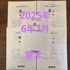 2026年最新】サピックステストの人気アイテム - メルカリ