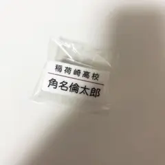 阪神タイガース 甲子園100周年記念グッズ 非売品 岩崎ボール - メルカリ