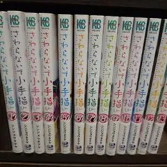 さわらないで 1-13巻セット
