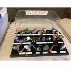 【おまけ付き】チョコエッグ 日本の動物コレクション 第4弾 全24種