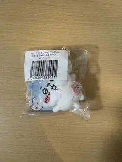 ちいかわ ちいかわだらけくじ E賞 全身ぬいぐるみバッジ　わ〜んッ