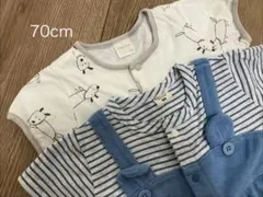 Item thumbnail for item adc5bf01-2ceb-4c65-abea-33098f56165d