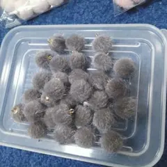 秋冬　ポンポンチャーム30粒