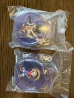 ワンピの実 ミクロ