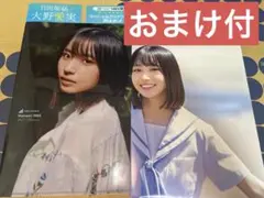生田絵梨花 クリアファイル＆ポスターセット - メルカリ