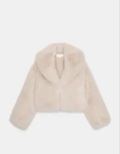 2026年最新】ZARA フェイクファー zwの人気アイテム - メルカリ