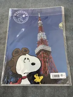 Item thumbnail for item 70c2e594-b0aa-4c9e-8e3d-cc2dd4ed47af