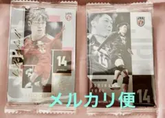 石川祐希 バレーボール 日本 男子 カード ウエハース