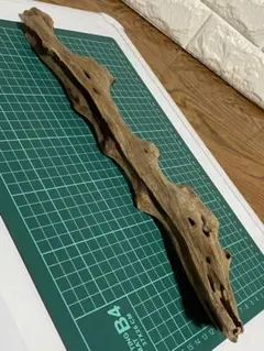 Item thumbnail for item 3dd7926f-901d-4067-bb90-f6a4a3e72e61