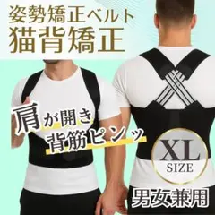 猫背矯正 姿勢サポーター 背筋ベルト 男女兼用 肩甲骨サポート 姿勢補正ベルト