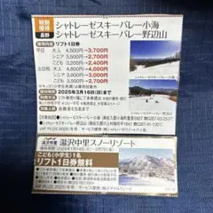 2025年最新】シャトレーゼ リフト券の人気アイテム - メルカリ