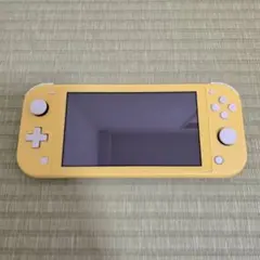 Nintendo Switch Lite イエロー ケースと充電器付き