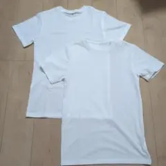 Item thumbnail for item e9b8e878-f04d-4a38-a3aa-47865c08d975