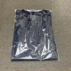 小沢健二 1994年『THE LIFE SHOW』ツアー Tシャツ　グレーM 小沢健二 1994年『THE LIFE SHOW』ツアー Tシャツ グレーM