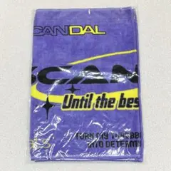 2025年最新】SCANDALタオルの人気アイテム - メルカリ