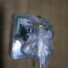 スヌーピー パッケージチャーム　ビーグルスカウト　スヌーピー