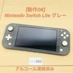 【ほぼ未使用】スイッチライト 本体 動作確認済み グレー 任天堂 Nintendo Switch Lite グレー 本体 動作確認済み Amazon