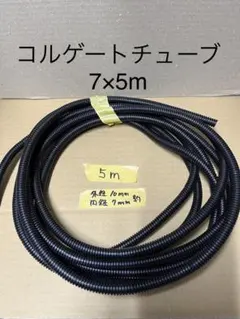 Item thumbnail for item 72e6197e-1a4c-4a24-922e-b993d0926d46