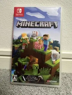 Minecraft Nintendo Switch