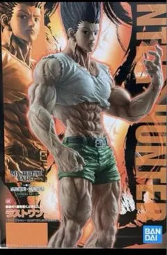 2025年最新】一番くじ hunter×hunter ラストワン賞の人気