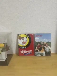 ２点セット　木更津キャッツアイ ゴールドシリーズ DVD