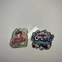 ディズニーミセスコラボ ピンバッジのサムネイル
