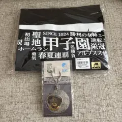 甲子園　100周年記念　土キーホルダー　トートバッグ