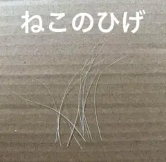 ねこのひげ　白色　10本　ハンドメイド材料　縁起物　猫の髭