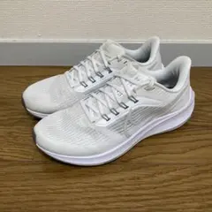 Nik Pegasus39