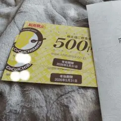 匿名配送 CoCo壱番屋 優待券 1000円分