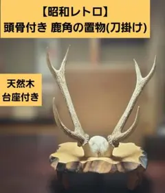 【昭和レトロ】頭骨付き 鹿角の置物(刀掛け) 天然木台座付き 昭和レトロ】頭骨付き 鹿角の置物(刀掛け) 天然木台座付き - メルカリ