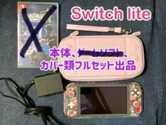 カバー等 フルセットNintendo Switch Lite グレー