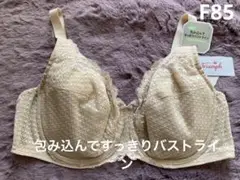トリンプ✴︎ボディコンシェルジェ517 フルカップブラジャー✴︎F85