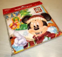 【未使用未開封】東京ディズニーランド限定　クリスマス2015　ウォッシュタオル